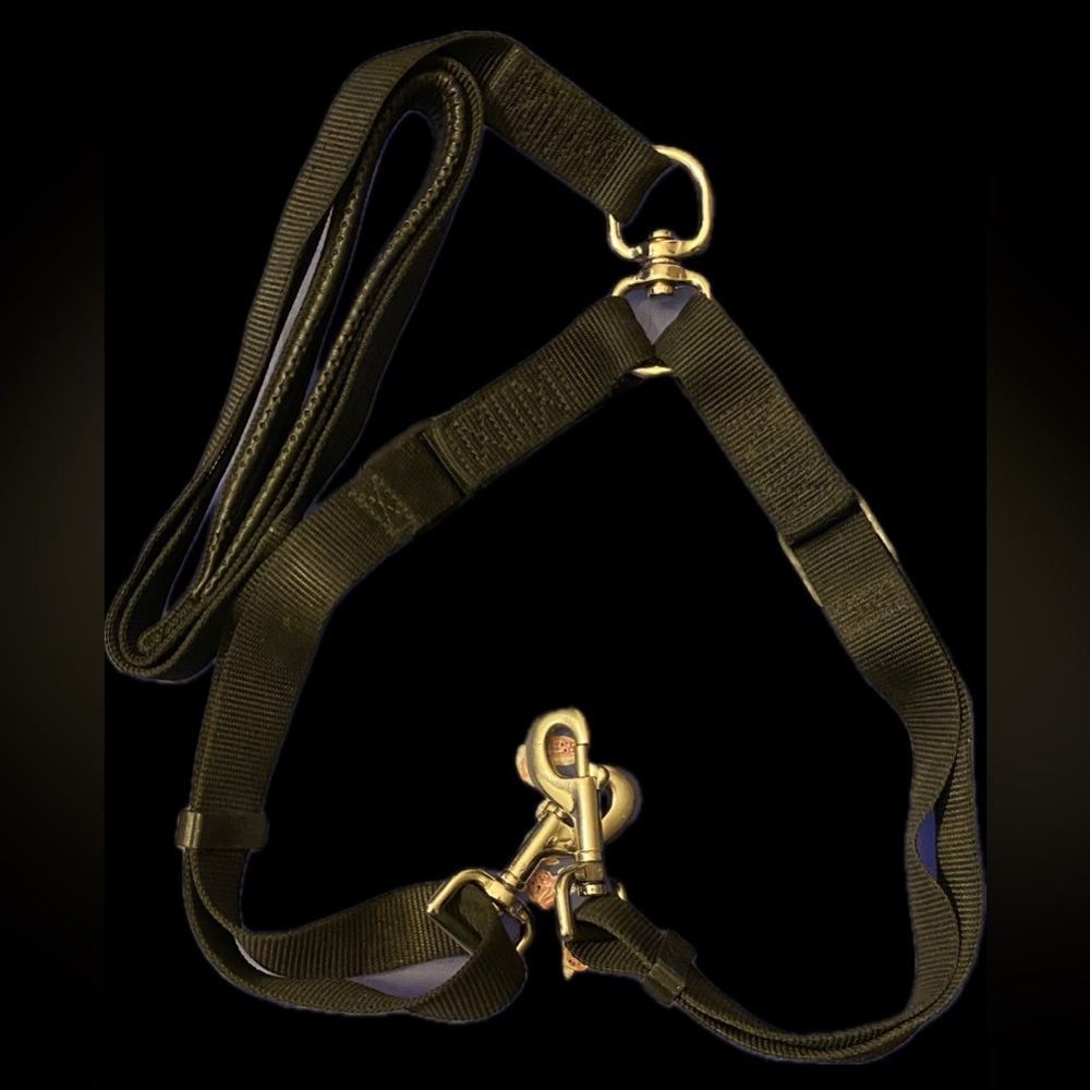 dog leash